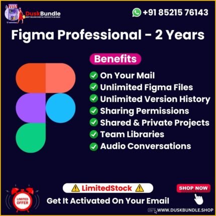 Figma Professional 2 Years